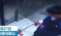 男子惊奇爆料视频播放,这究竟是怎么回事？